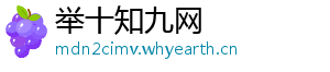 举十知九网